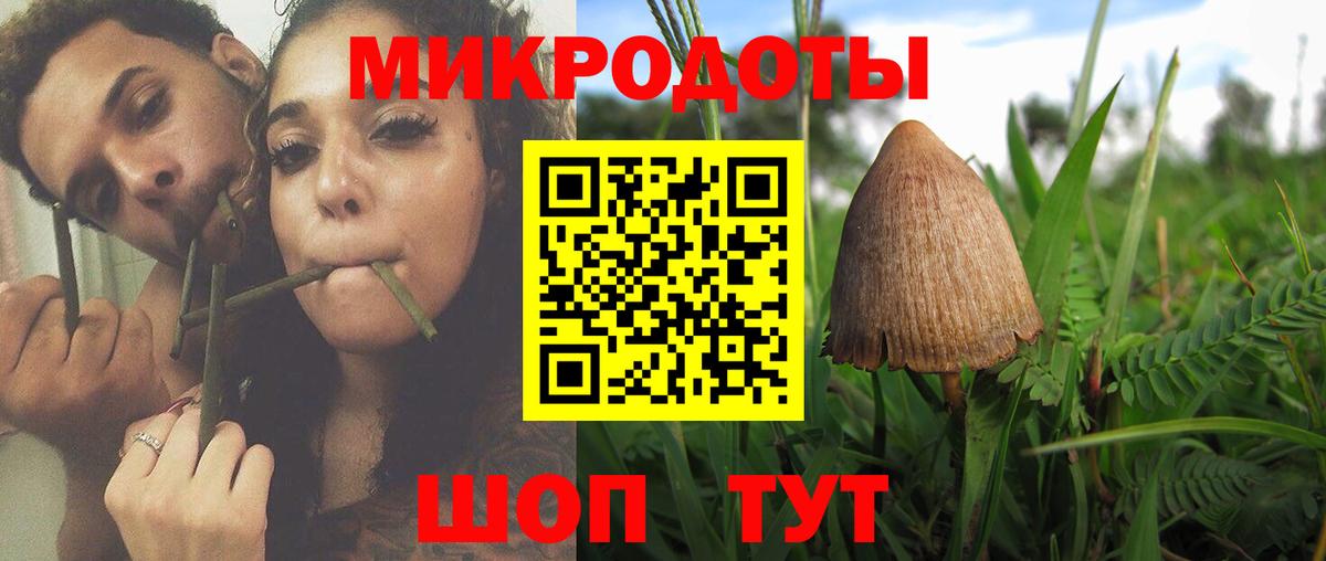 Волхов  Псилоцибиновые грибы прущие грибы  Вход с VPN 